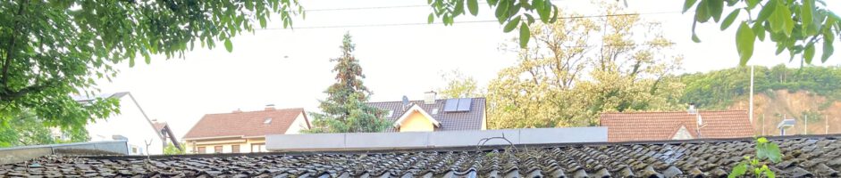 Grillabend der Basketballer