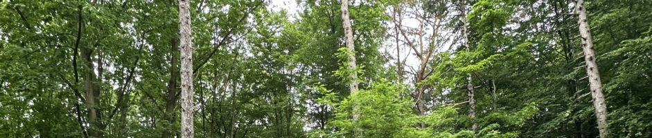 Mai-Wanderung 2025