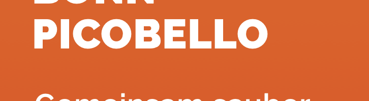 Bonn Picobello 2025