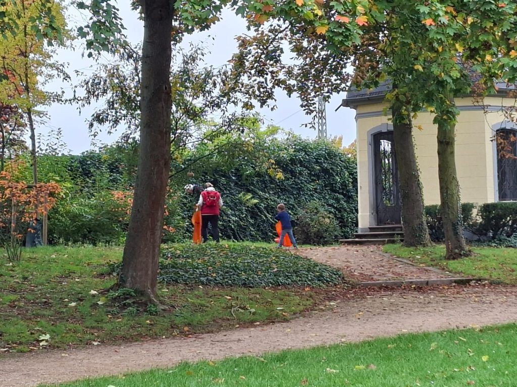 Bild von Bonn Picobello