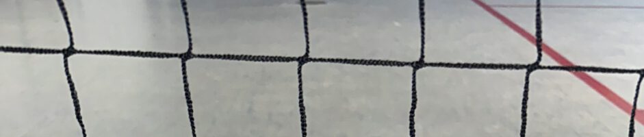 Neues Sportangebot: Pickleball